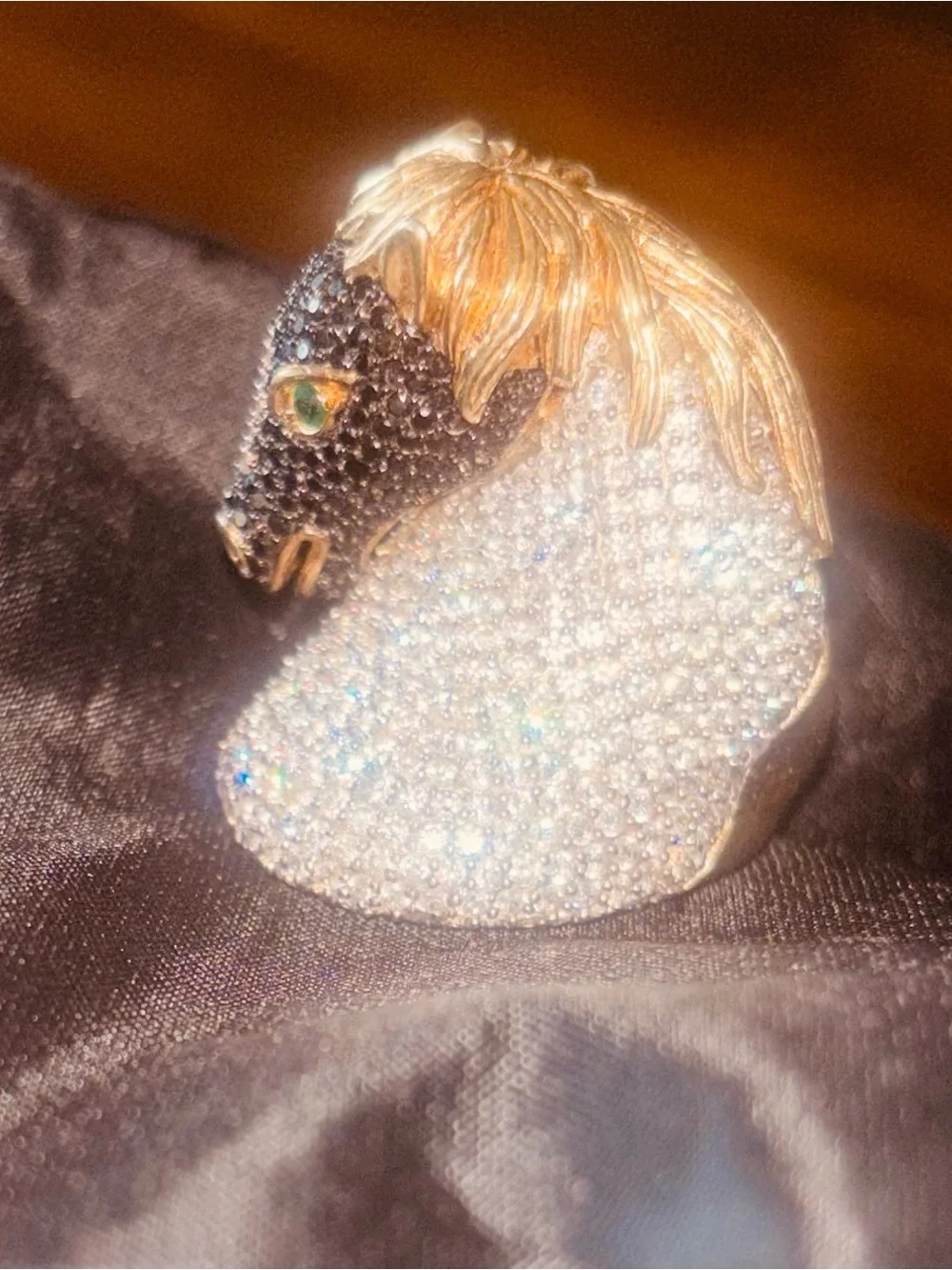 Equestrian horse ring